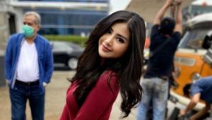 ta artis tarif 75 juta