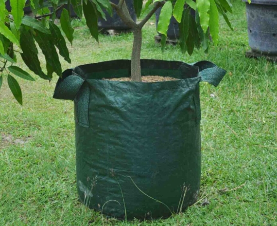 Planter Bag Easy Grow 11 Liter