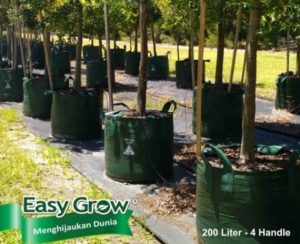 Planter Bag Easy Grow 200 Liter