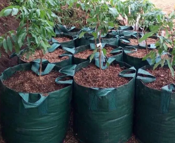 Planter Bag Easy Grow 400 Liter
