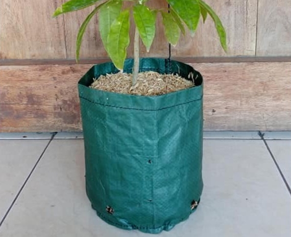 Planter Bag Easy Grow 11 Liter Tanpa Handle